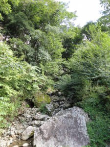 昨日の「ぽっちり堂」滝